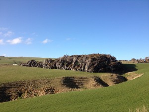 Slope Point - Nugget Point Lighthouse-006